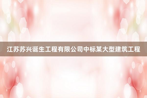 江苏苏兴诞生工程有限公司中标某大型建筑工程